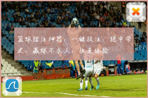 篮球赌注神器，一键投注，稳中带皮，赢球不求人，快来体验