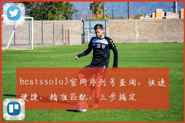 beatssolo3官网序列号查询，快速便捷，精准匹配，三步搞定
