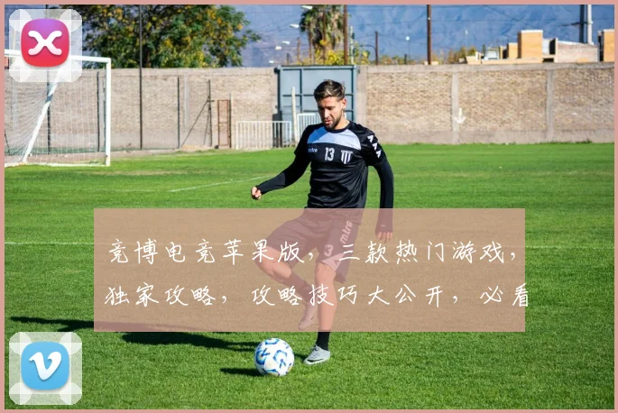 竞博电竞苹果版，三款热门游戏，独家攻略，攻略技巧大公开，必看