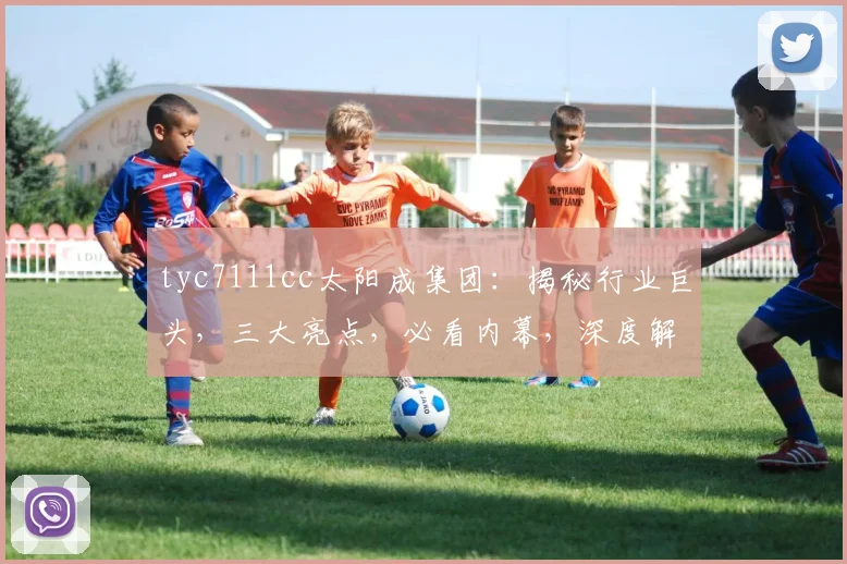 tyc7111cc太阳成集团：揭秘行业巨头，三大亮点，必看内幕，深度解析